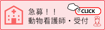LINE友達追加