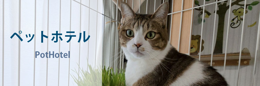 ペットホテル
